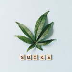 Семена конопли Dedoverde Haze feminised от Humboldt Seeds image_143.jpg