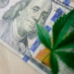 Семена конопли полезные свойства и приобретение в аптеке image_154.jpg