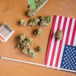 Семена марихуаны из Голландии: особенности и преимущества image_196.jpg