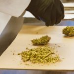 Законность покупки семян марихуаны image_299.jpg