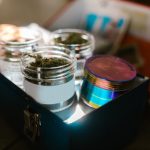 Конопля Карликовая Особенности Выращивания и Преимущества Сортa image_333.jpg