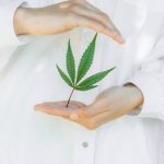 Можно ли покупать семена конопли и как это сделать законно image_488.jpg