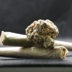 Семена конопли Сатива свойства и применение images66.jpg