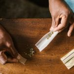 Сорт конопли Heavy Bud feminised от Advanced Seeds image_291.jpg