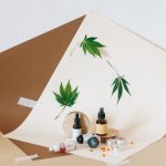 Проращивание семян марихуаны: подробное руководство image_343.jpg