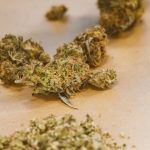 Покупка и доставка семян конопли почтой image_502.jpg